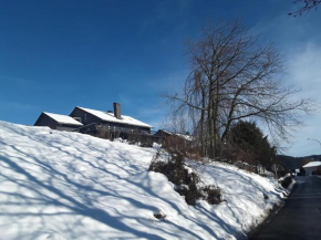 BergVilla Willingen